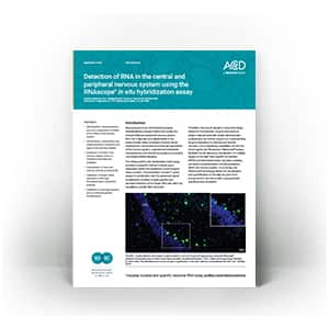 Detection of RNA in the central and peripheral nervous system using the RNAscope in situ hybridization assay